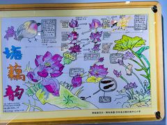 -上海昆虫博物馆