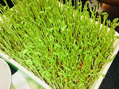 -番食园鲜食火锅(高新店)