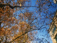 -常熟路(地铁站)