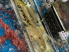海鲜河鲜-盒马鲜生(皇庭广场店)