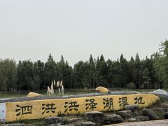 -泗洪洪泽湖湿地景区