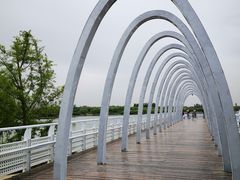 -大兴滨河森林公园