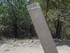 -北京鹫峰国家森林公园