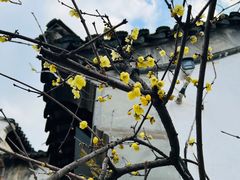 -惠山古镇·寄畅园