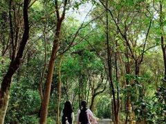 -广州白江湖森林公园