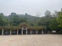 -火炉山森林公园