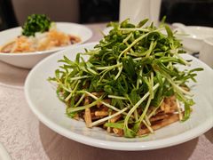 -新南华大酒店(广中店)