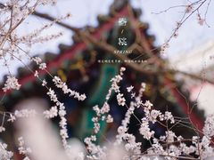 -颐和园