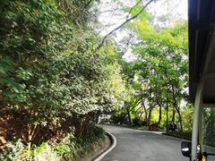 -白云山风景名胜区