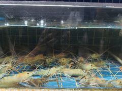 -客家汇·客家传承菜(水库店)
