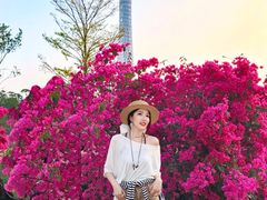 -海心沙亚运公园