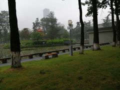 -望江楼公园