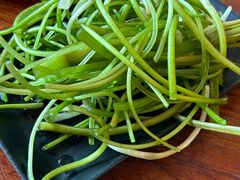 -大理.老字号渝记酸萝卜乌鱼(古城总店)
