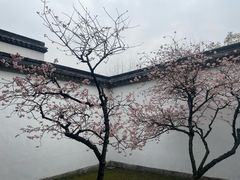 -拙政园