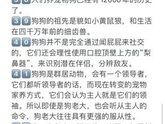 -宠爱国际动物医院· 猫科· 外科·中兽医(长白店)