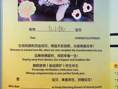 -美联众合动物医院·24h转诊中心