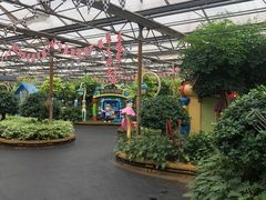 -南宫五洲植物乐园