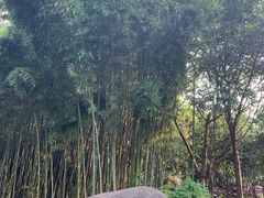 -苏州河梦清园环保主题公园