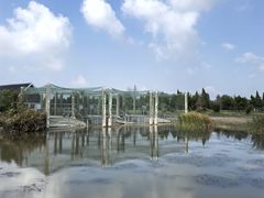 -盐城丹顶鹤湿地生态旅游区