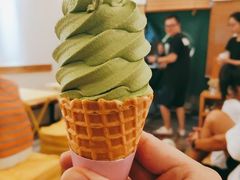-王守财小山園