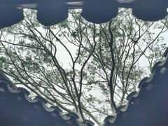 -拙政园