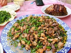 -铁山坪森林公园