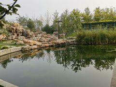 -西海子公园