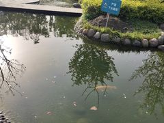 -成飞公园