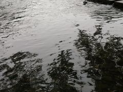 -鹿亭中村