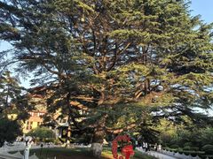 -青岛德国总督楼旧址博物馆