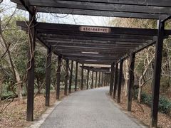 -九龙潭景区