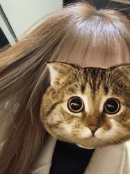 长发-发饰美男士增发补发假发定制店