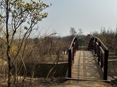-北京凤凰岭