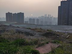 -南山植物园