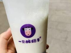 -一只酸奶牛(八一路店)