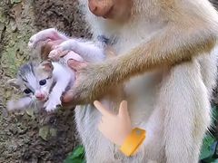 -昆明动物园