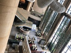 -成都保利公园皇冠假日酒店(熊猫基地店)