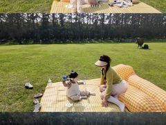 -黄海国家森林公园