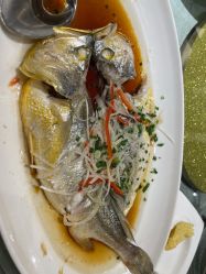 -新锦江大酒店·宴会厅·婚宴