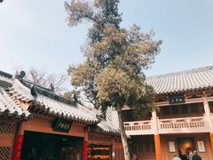 -少林寺欢喜地素斋馆
