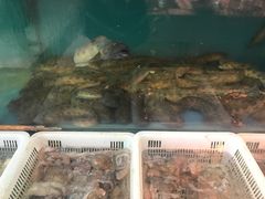 -宏源鑫海鲜餐厅·海景婚宴厅(石老人店)