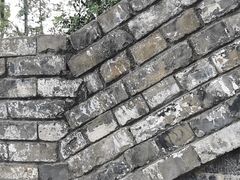 -阿婆五香蛋(水游城店)