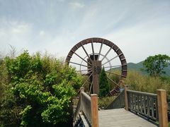 -江南天池