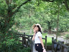 -靖西鹅泉风景区