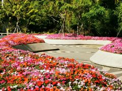 -深圳国际园林花卉博览园