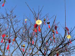 -钱王祠
