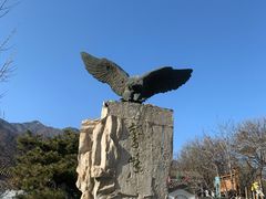 -北京鹫峰国家森林公园