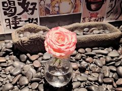 -贰醒·私房小院烧烤 (太古里店)
