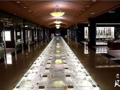 -青岛贝壳博物馆