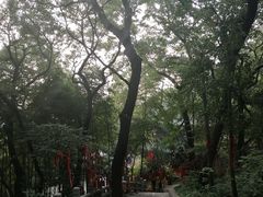 -灵岩山风景区